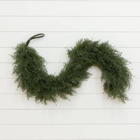 a green plant on a white surface