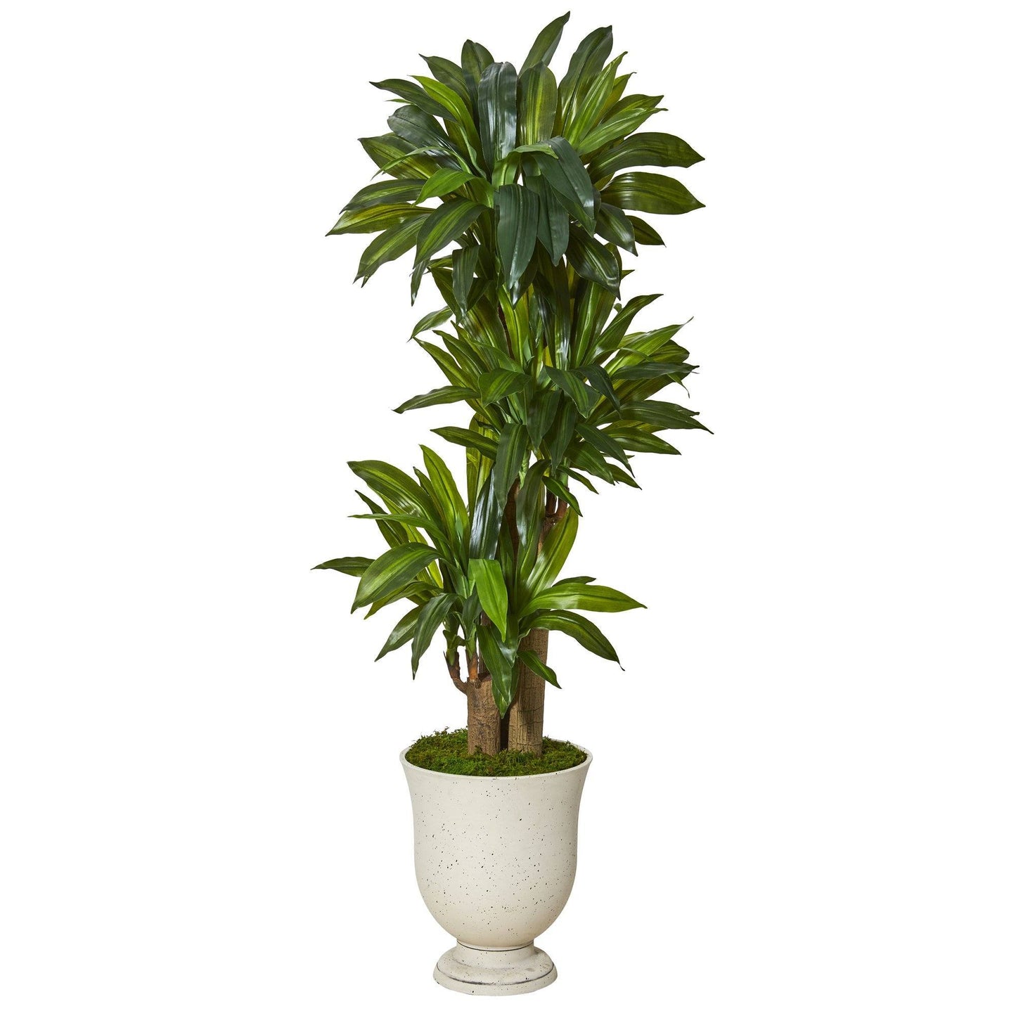 61” Corn Stalk Dracaena Artificial Plant in Decorative Urn (Real Touch)