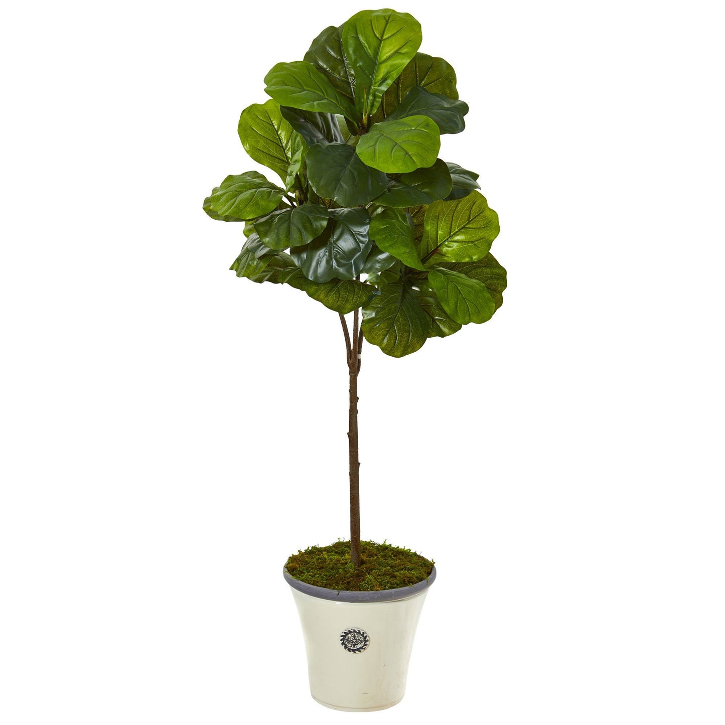 61” Fiddle Leaf Artificial Tree in Planter (Real Touch)