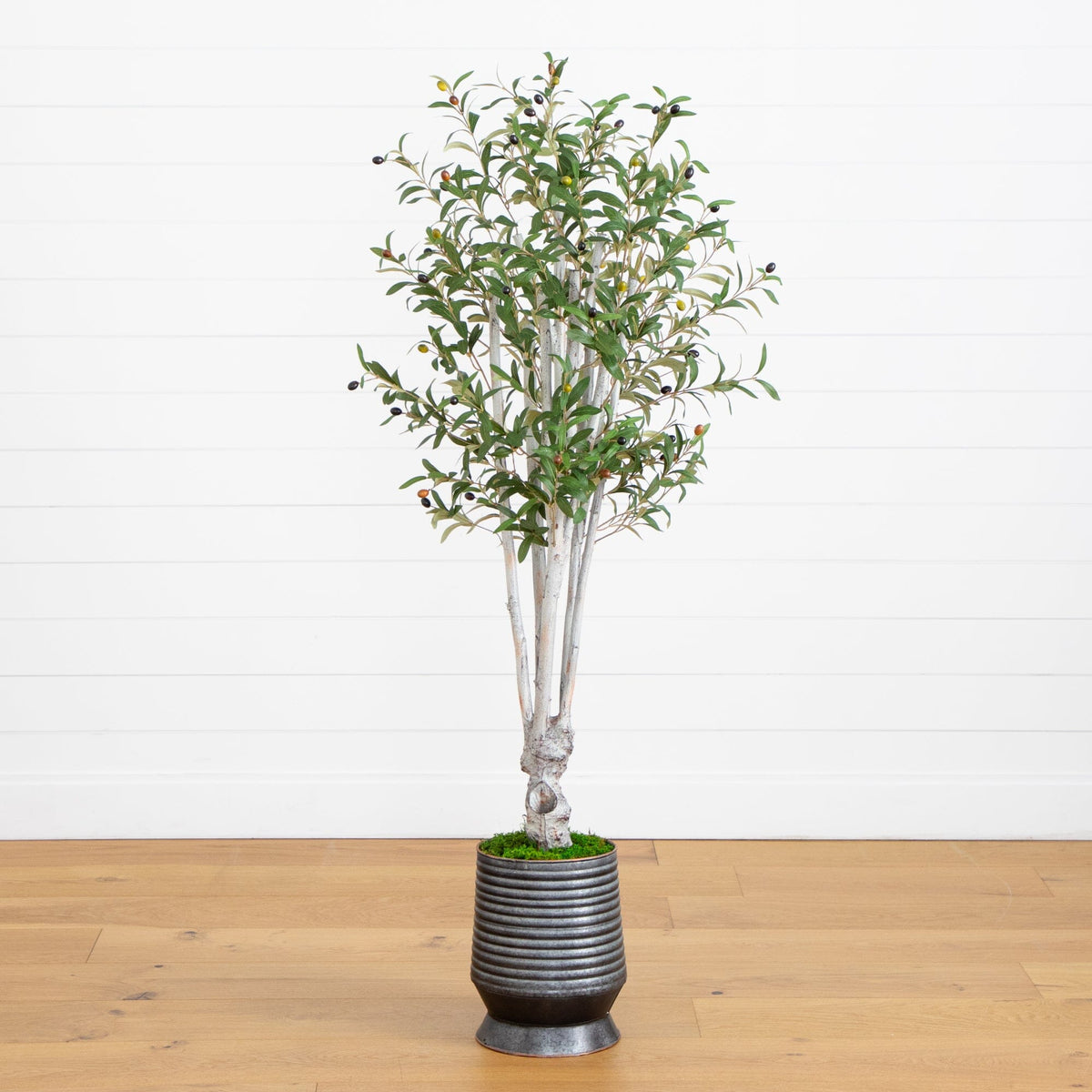 a tree in a pot