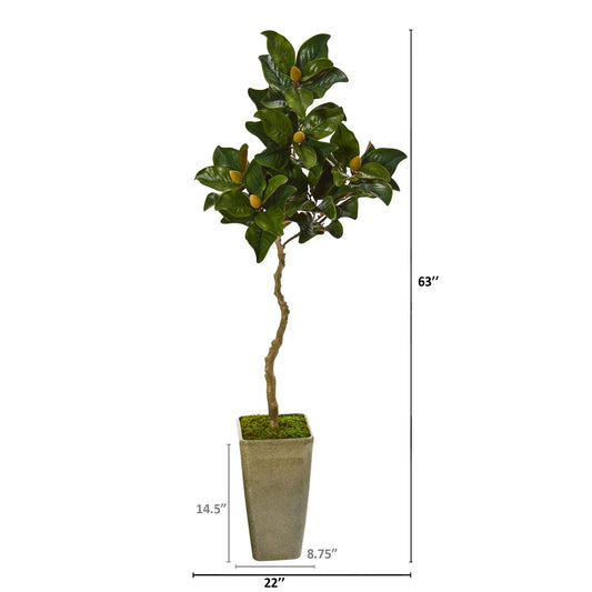 63” Magnolia Artificial Tree in Green Planter