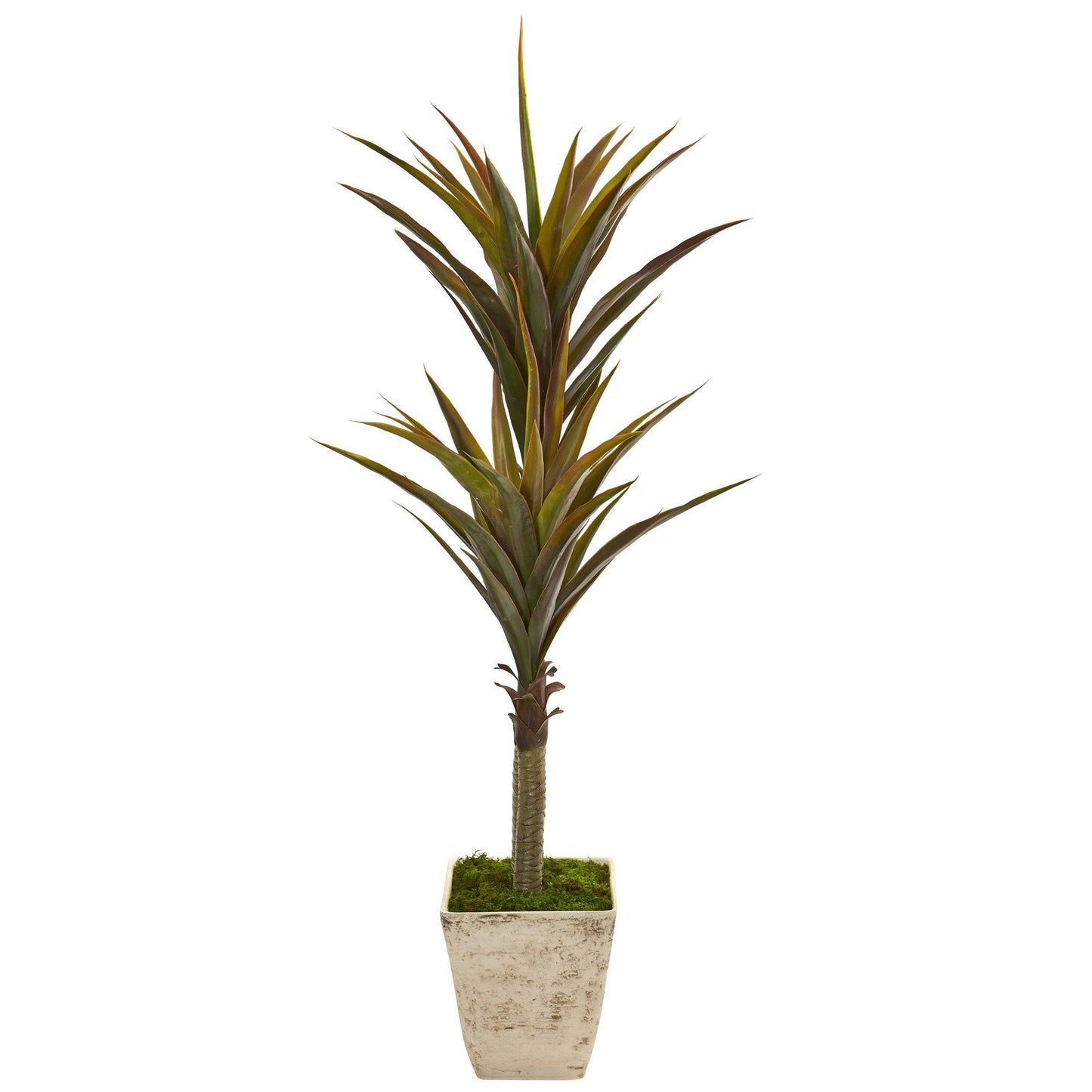 63” Yucca Artificial Tree in Country White Planter