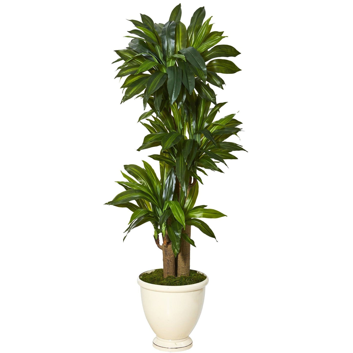 64” Corn Stalk Dracaena Artificial Plant in Urn Planter (Real Touch)