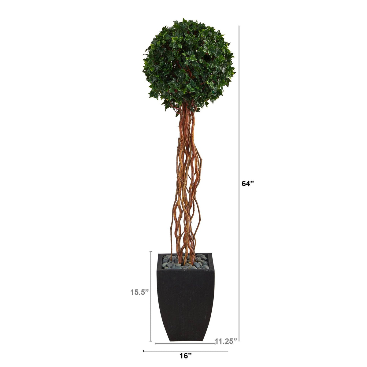 a tall plant in a pot