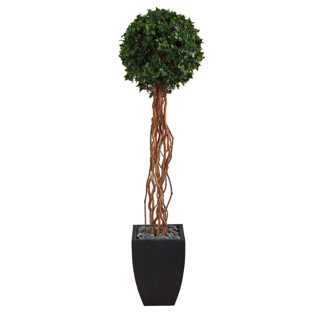 a plant in a pot