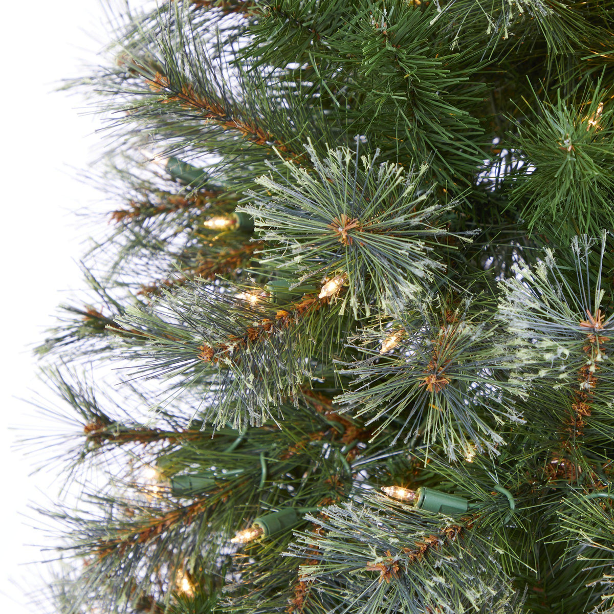 a close up of a christmas tree