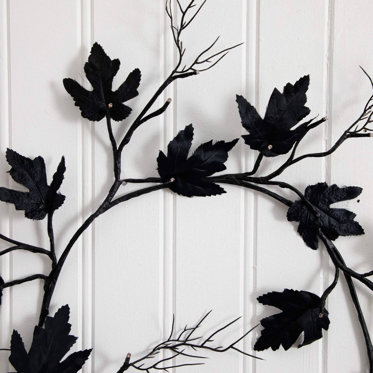 a black leaf on a white background