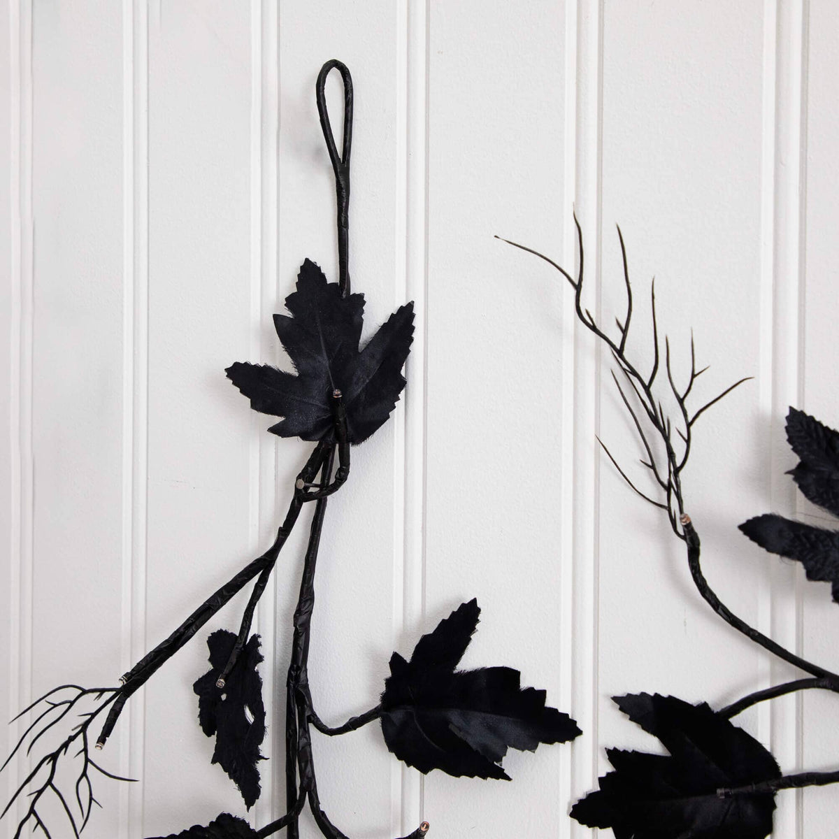 a black leaves on a white surface