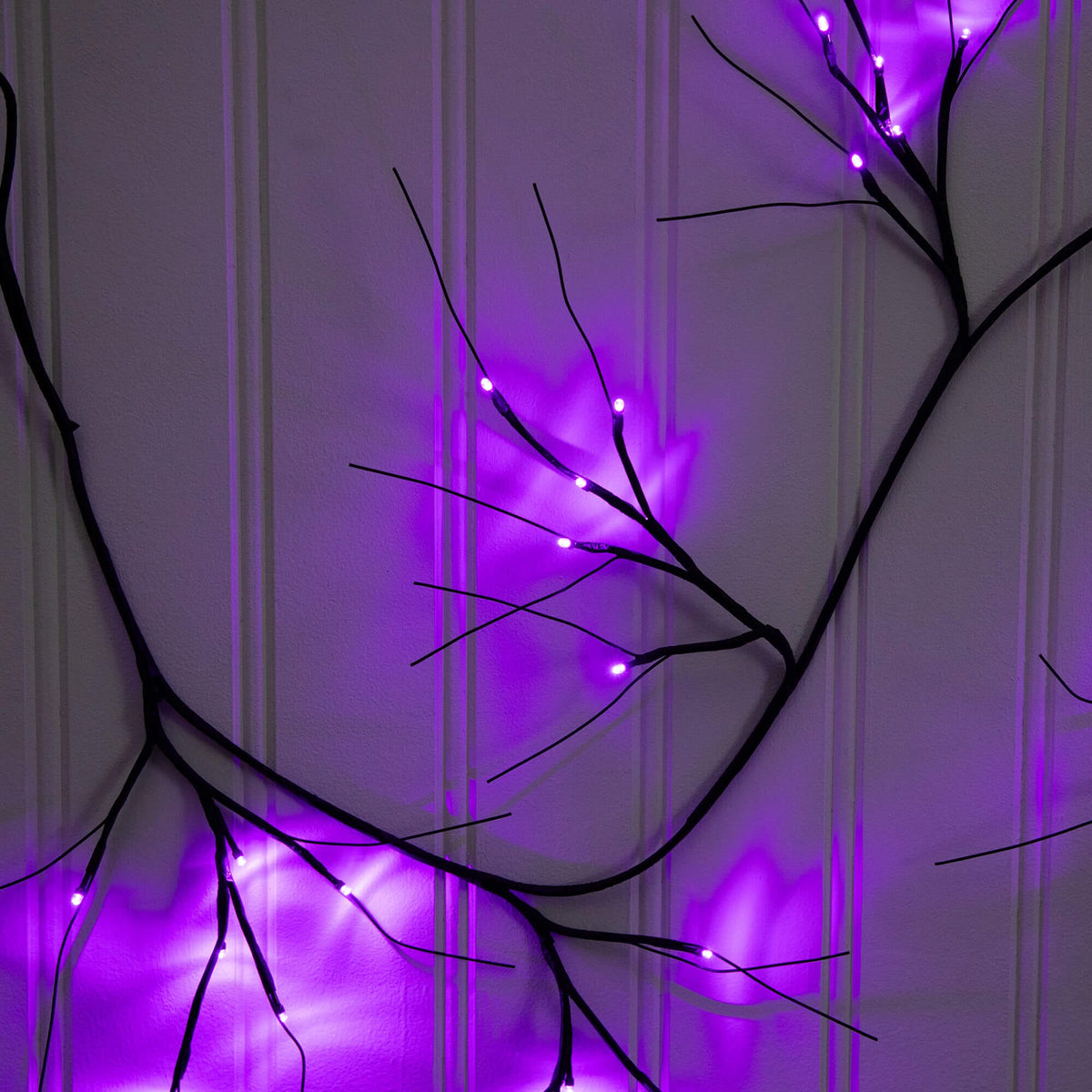 a purple lights on a wall