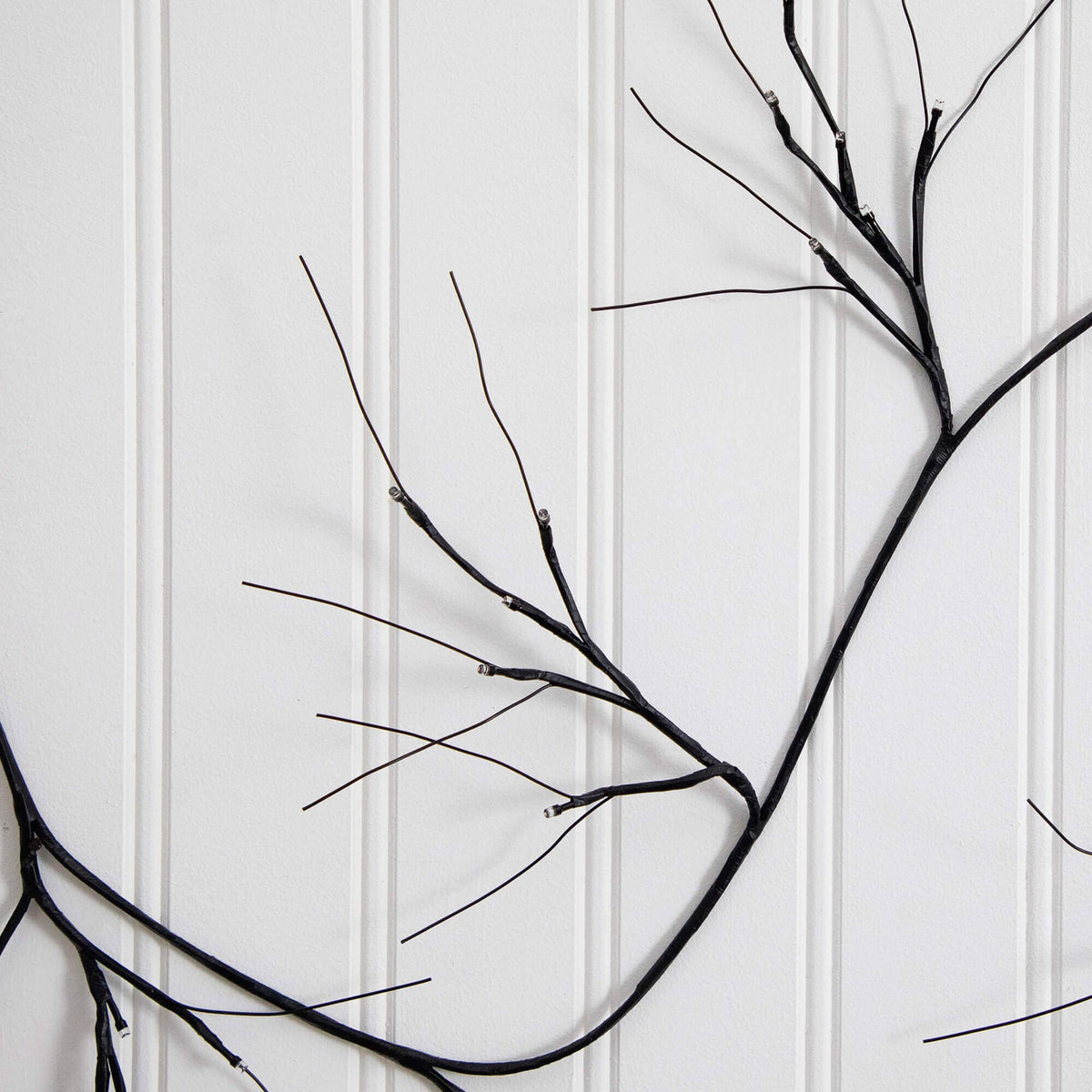 a tree branch on a white wall