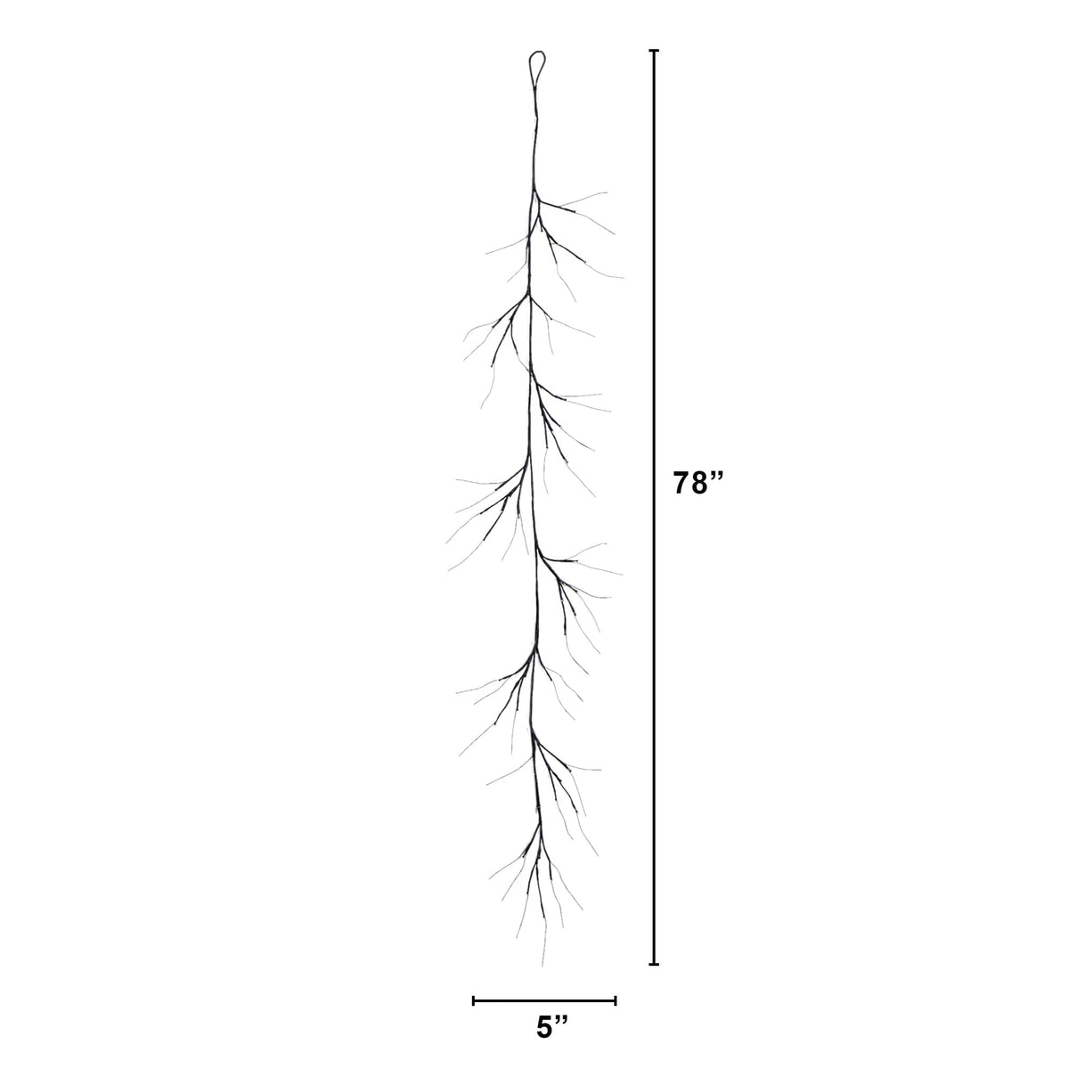 a long skinny tree with a long thin branch