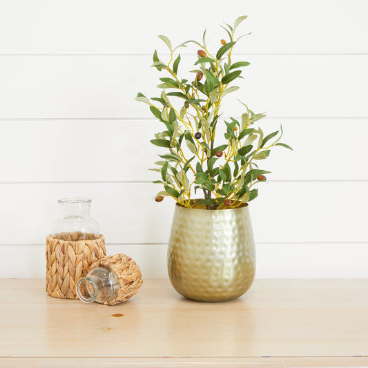 a plant in a pot