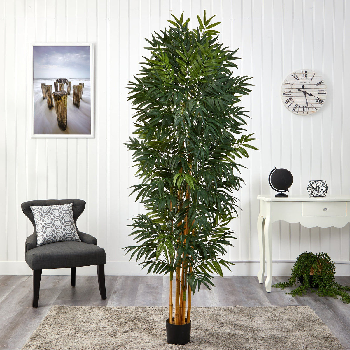 6.5’ Phoenix Palm Artificial tree with Natural Trunk