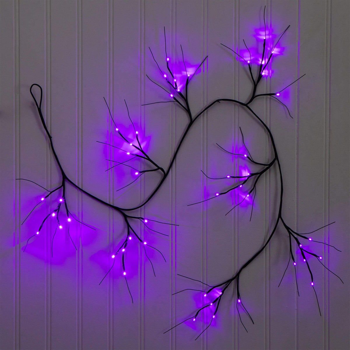a purple lights on a wall