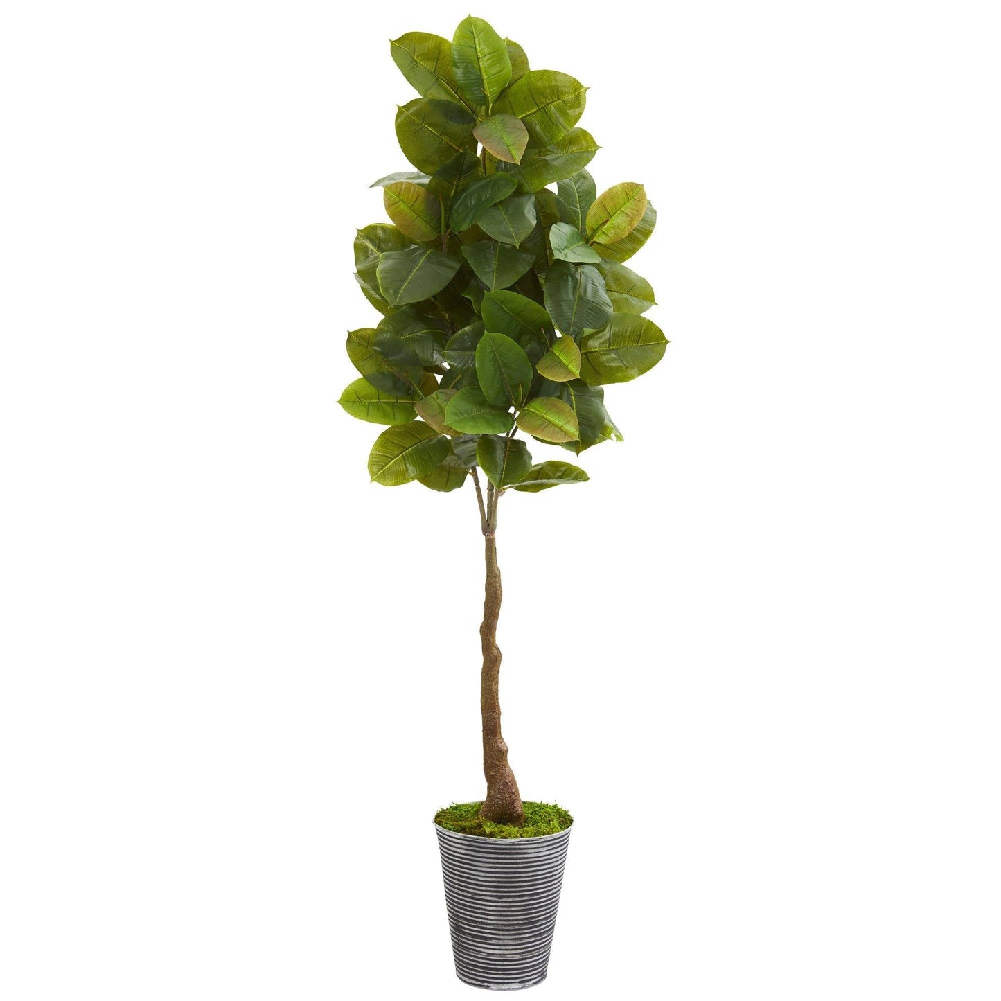 65” Rubber Leaf Artificial Tree in Decorative Tin Planter (Real Touch)