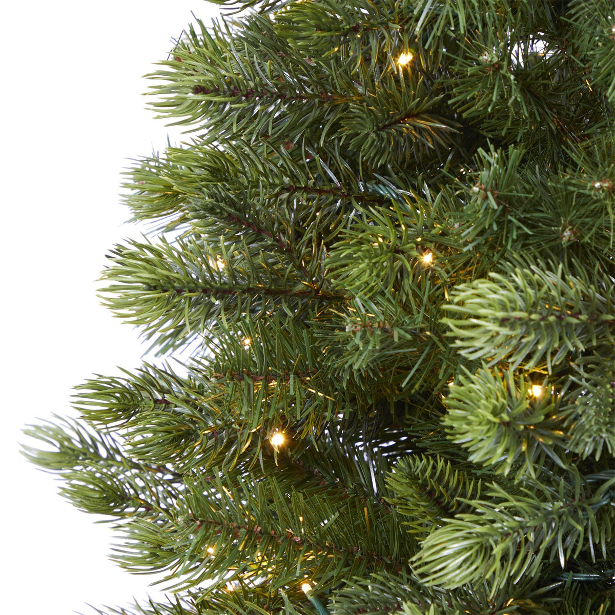 a close up of a christmas tree