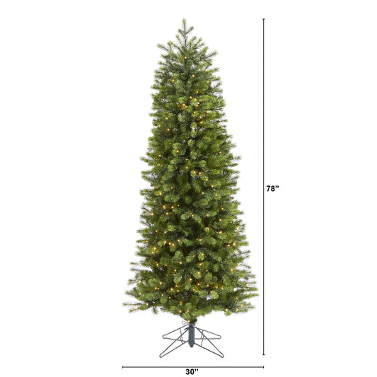 a tall christmas tree with lights