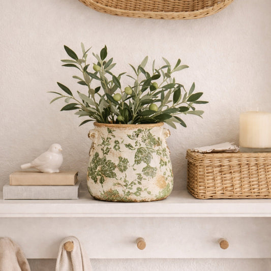 a plant in a pot on a shelf