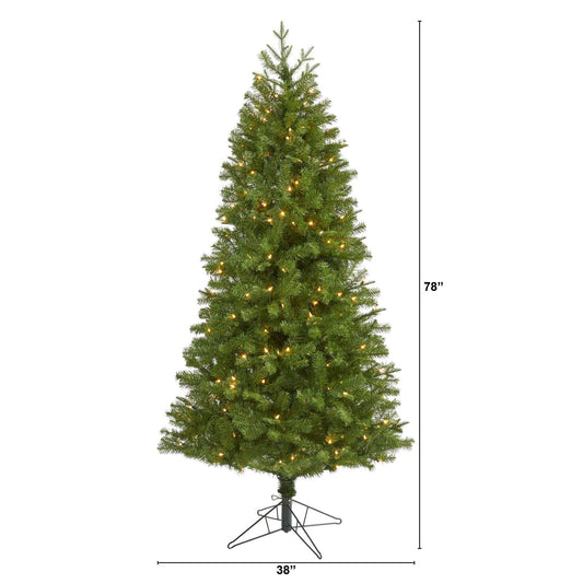 a tall christmas tree with lights
