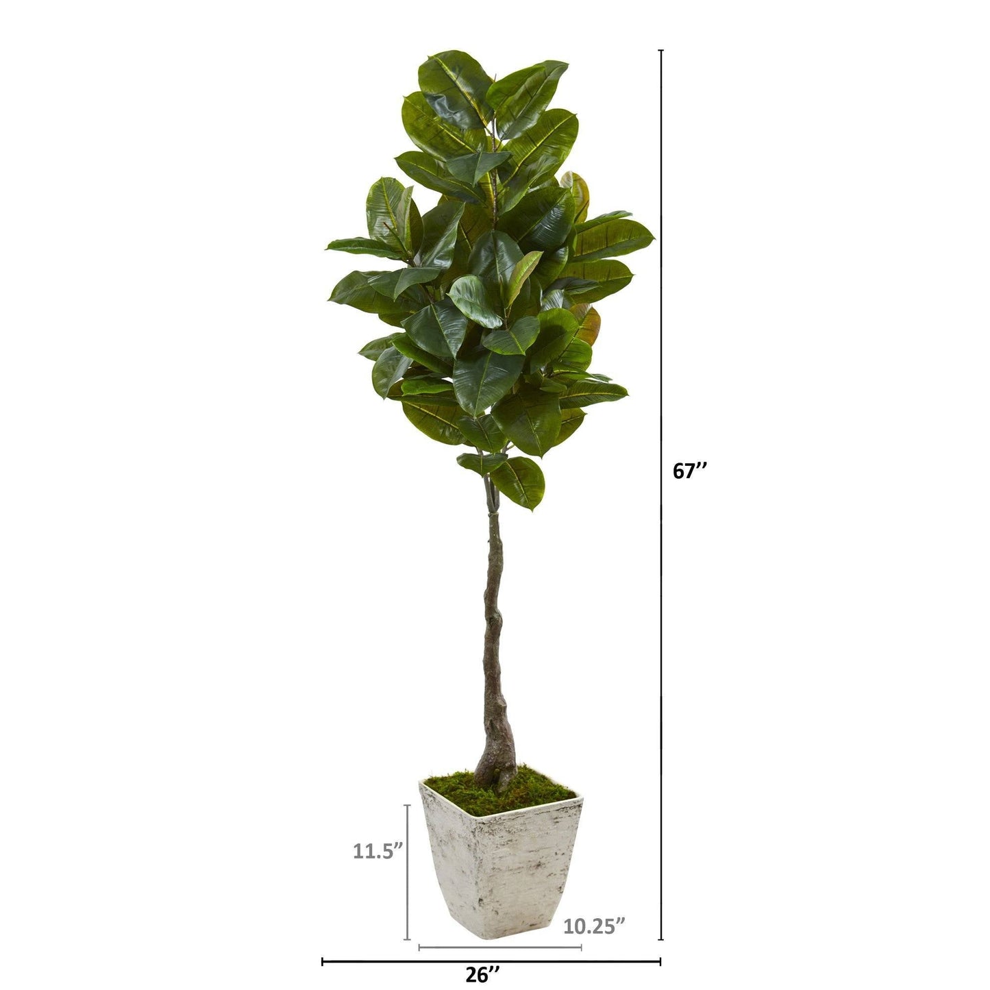 67” Rubber Leaf Artificial Tree in White Planter (Real Touch)