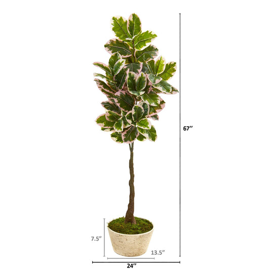 67” Variegated Rubber Leaf Artificial Tree in Planter (Real Touch)