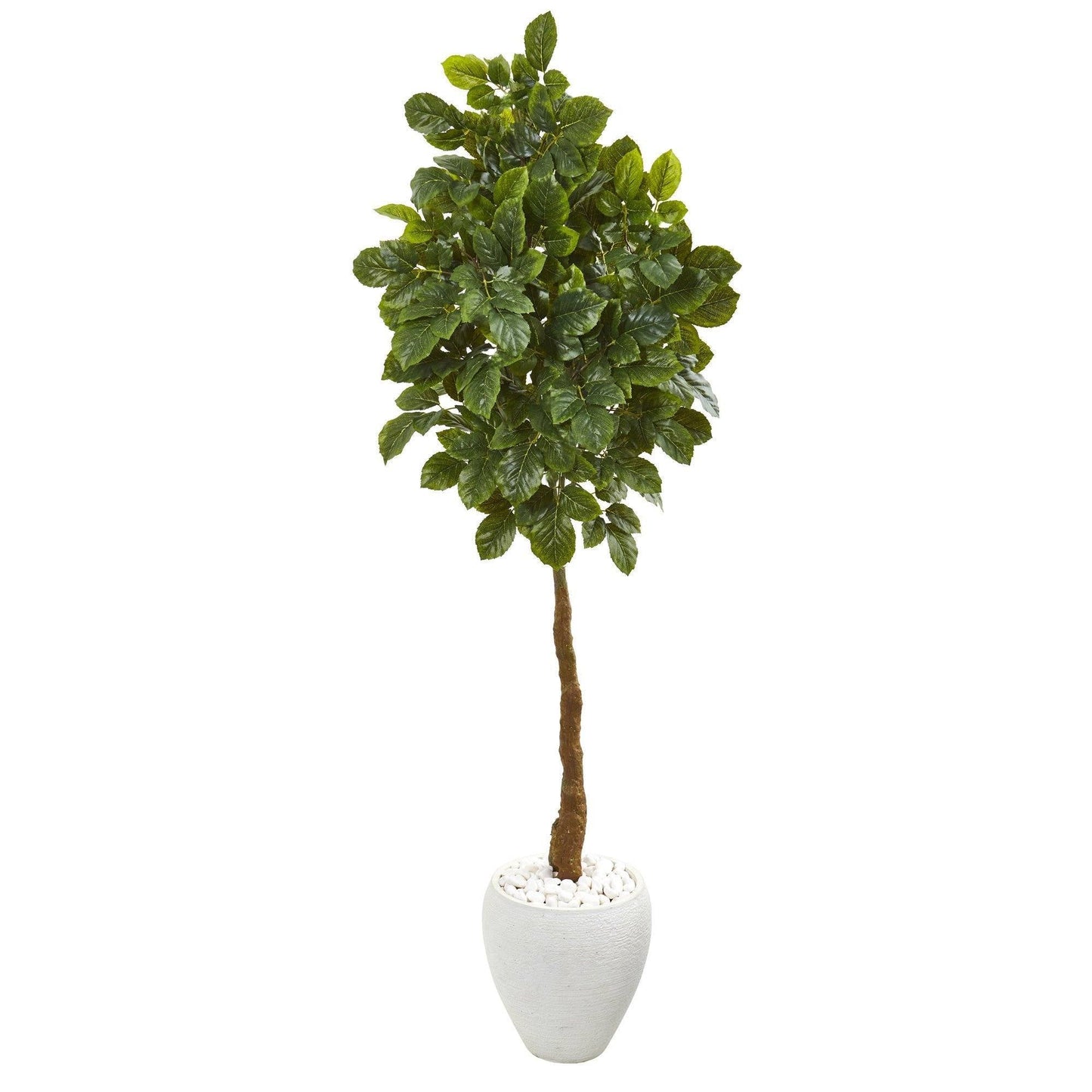 69” Beech Leaf Artificial Tree in White Planter