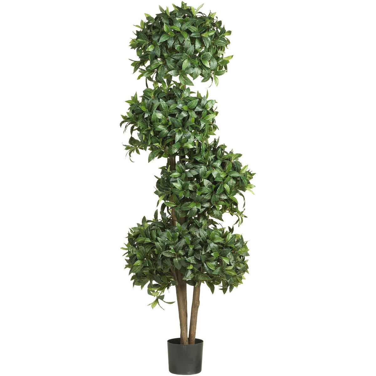 a tree in a pot