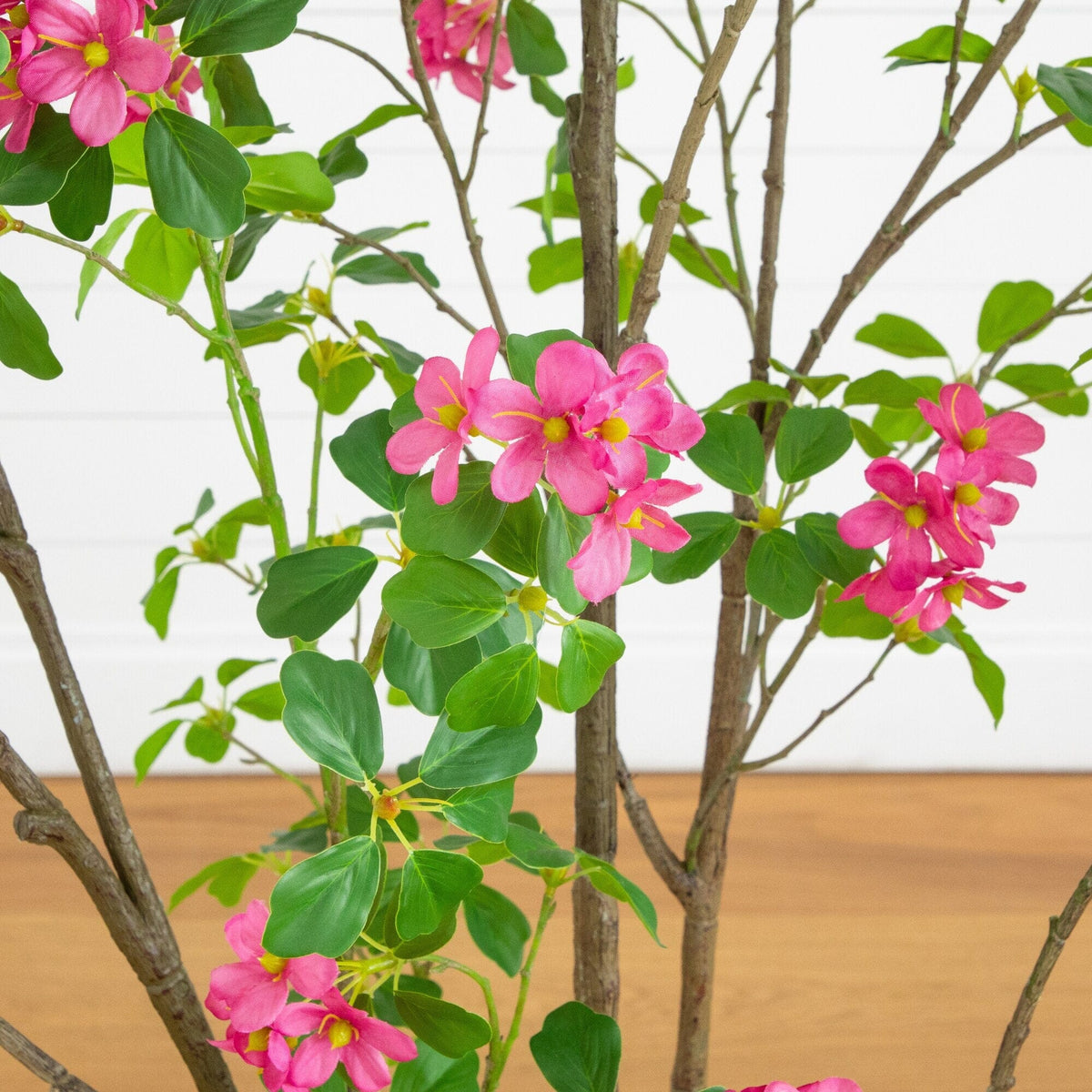a plant with pink flowers
