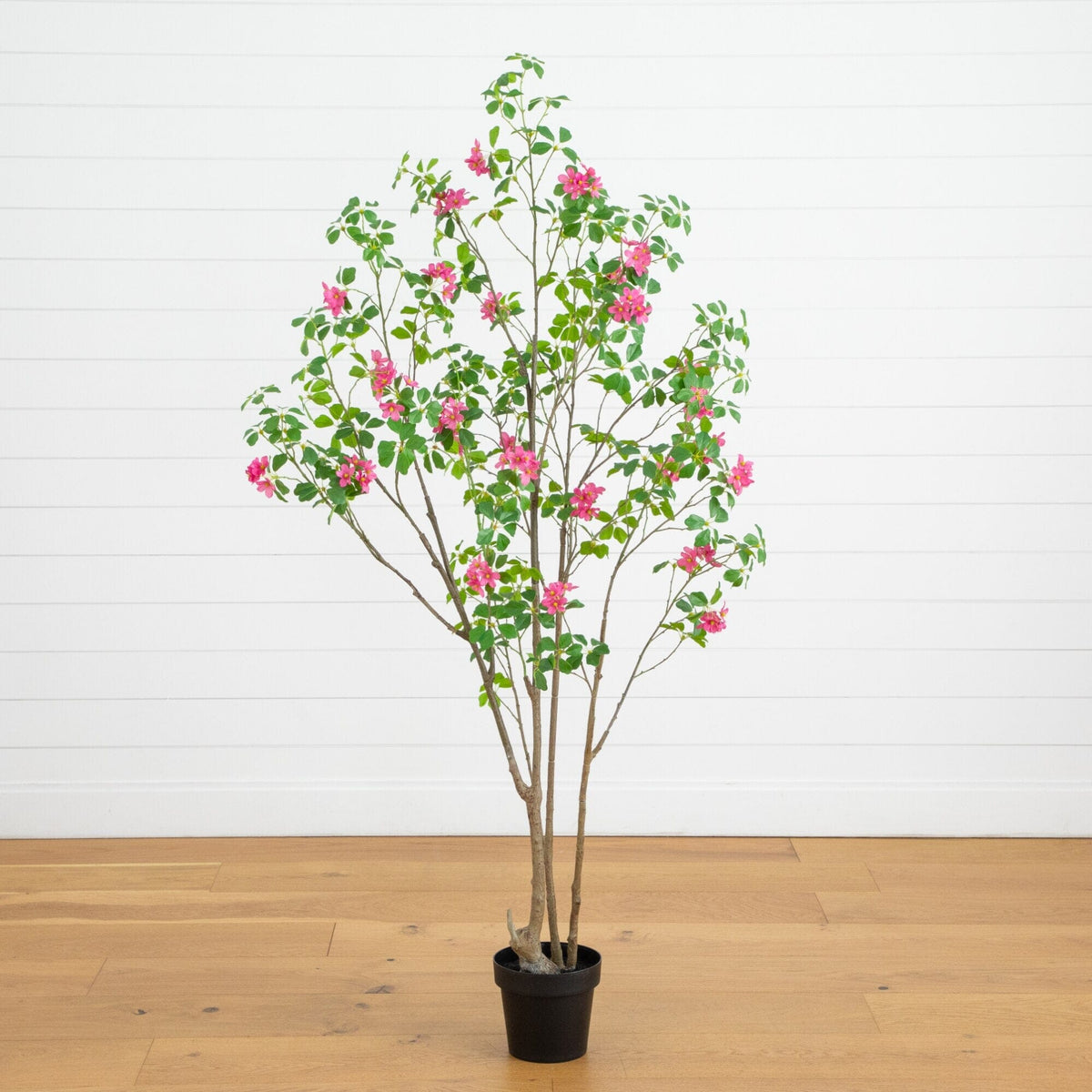 a potted plant with pink flowers
