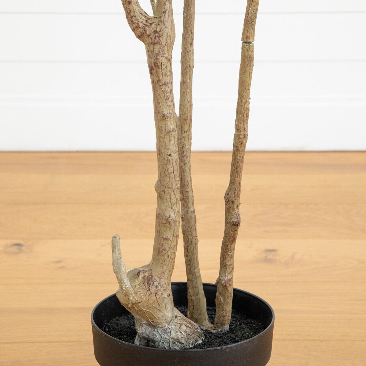 a plant in a pot