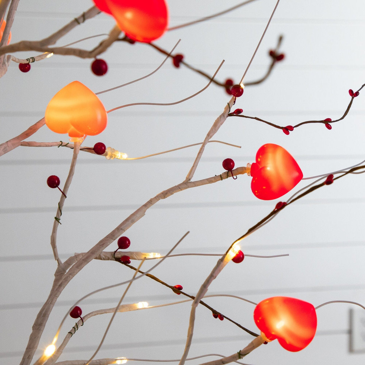 a tree with lights and berries