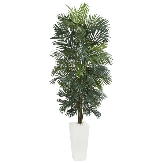 a plant in a white pot