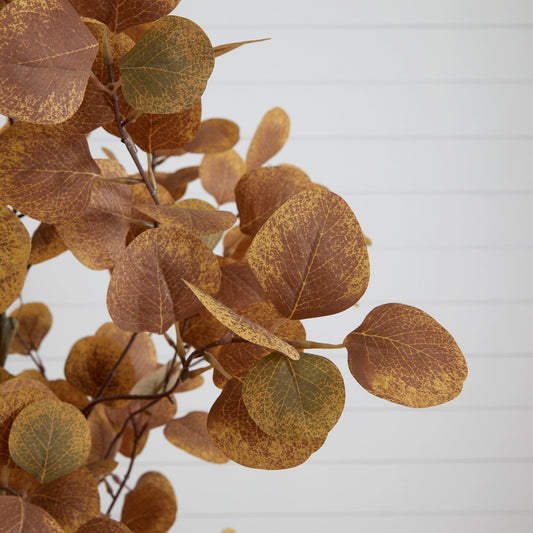 a plant with brown leaves