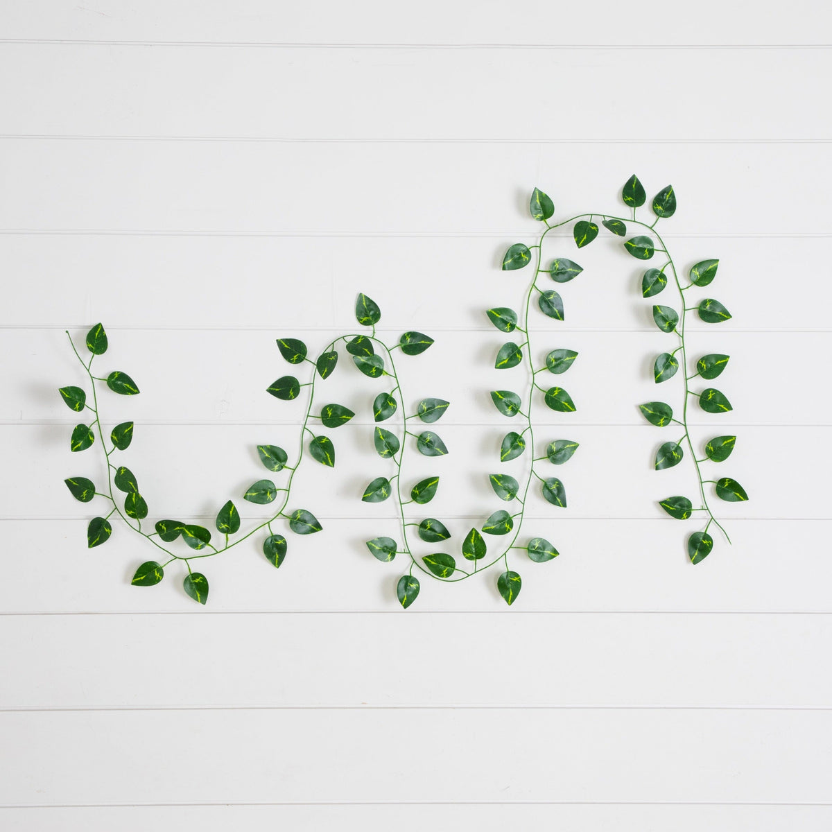 a green leaves on a white surface