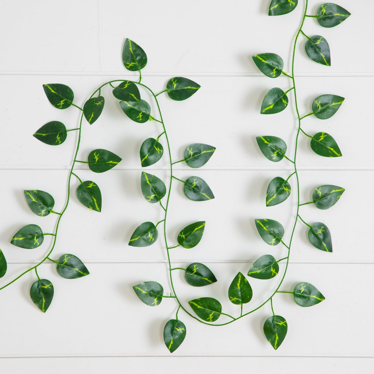 a green leaves on a white surface