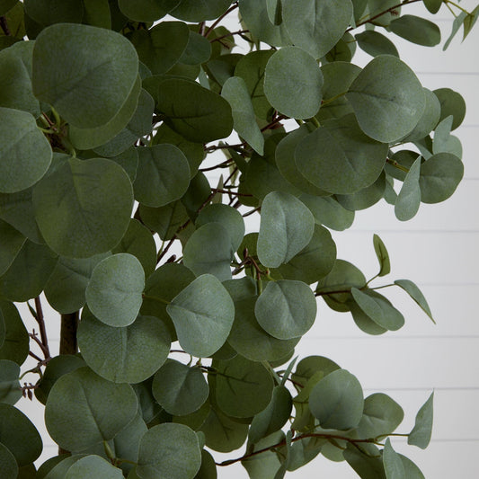 a close up of a plant