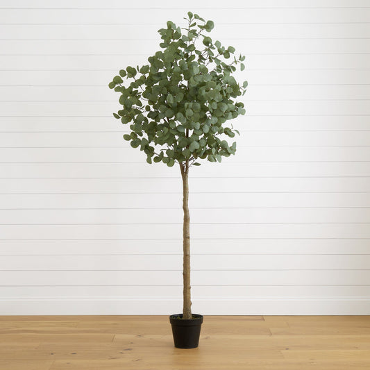 a tree in a pot