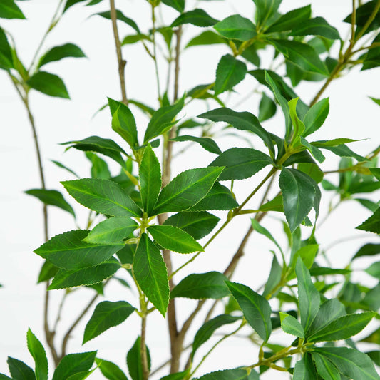 7’ Artificial Minimalist Japanese Pieris Tree