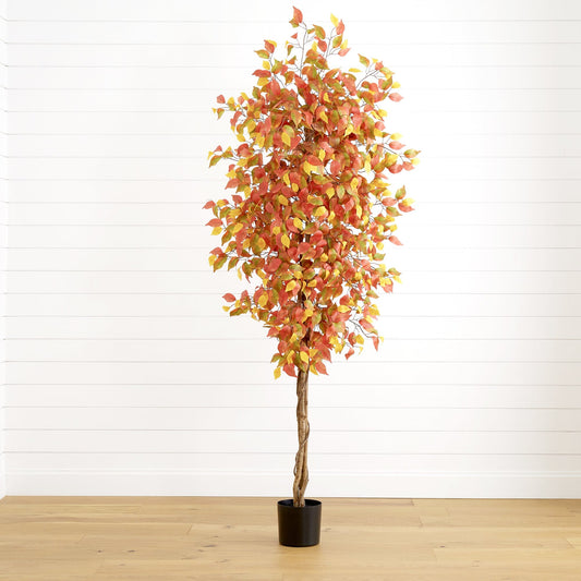 a tree in a pot
