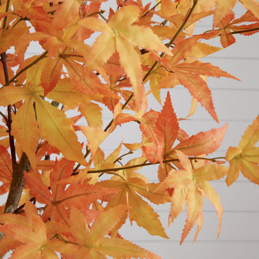 a tree with orange leaves