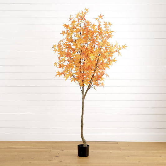 a tree in a pot