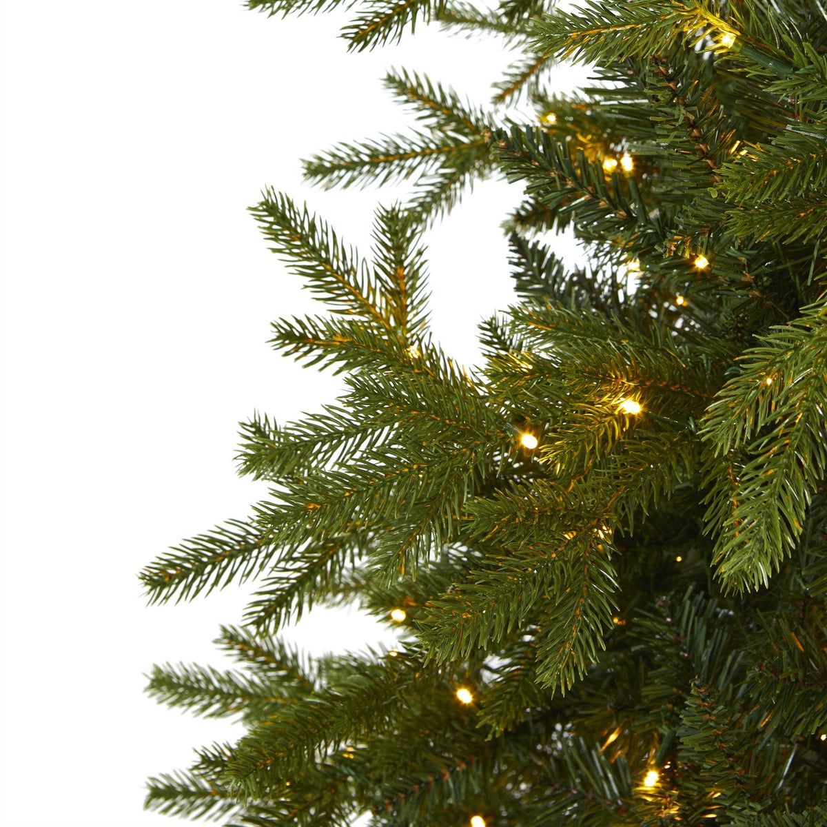 a close up of a christmas tree