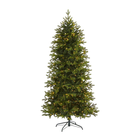 a christmas tree with lights