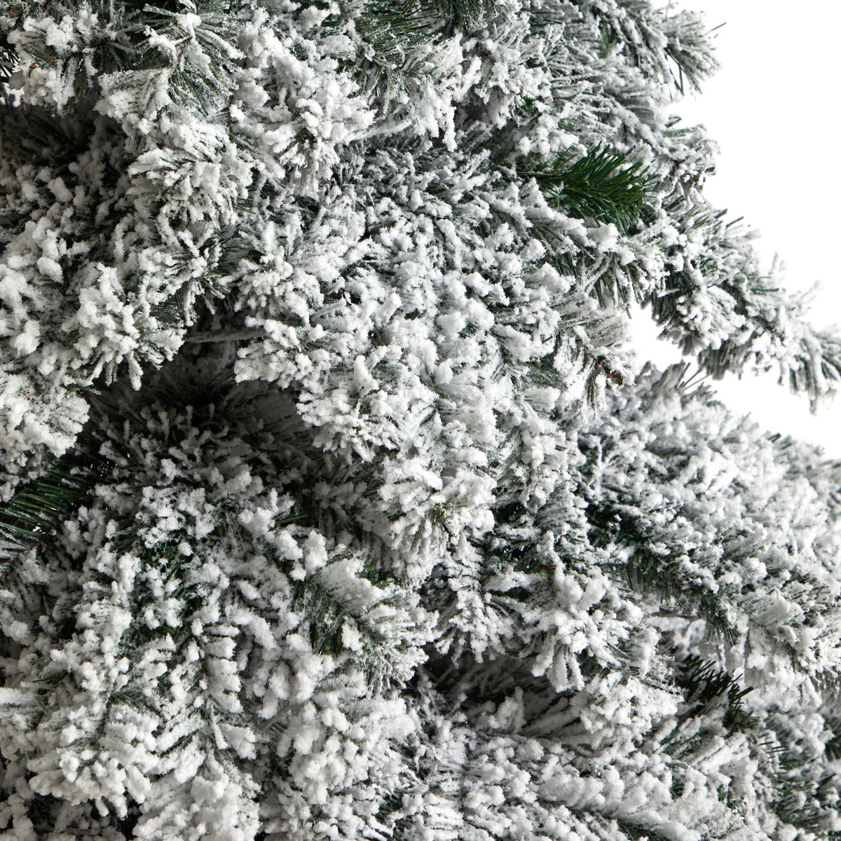 a close up of a tree