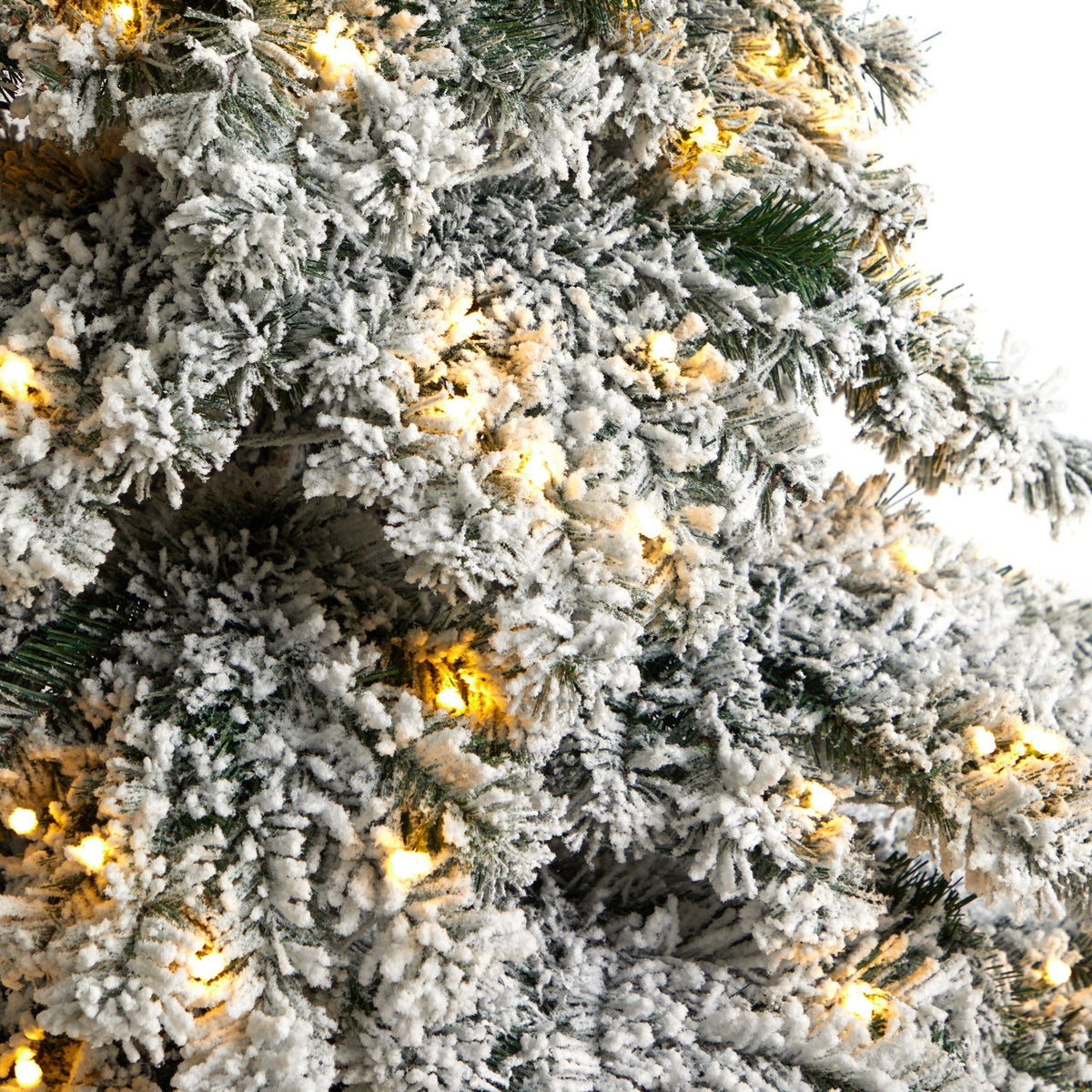 a close up of a tree