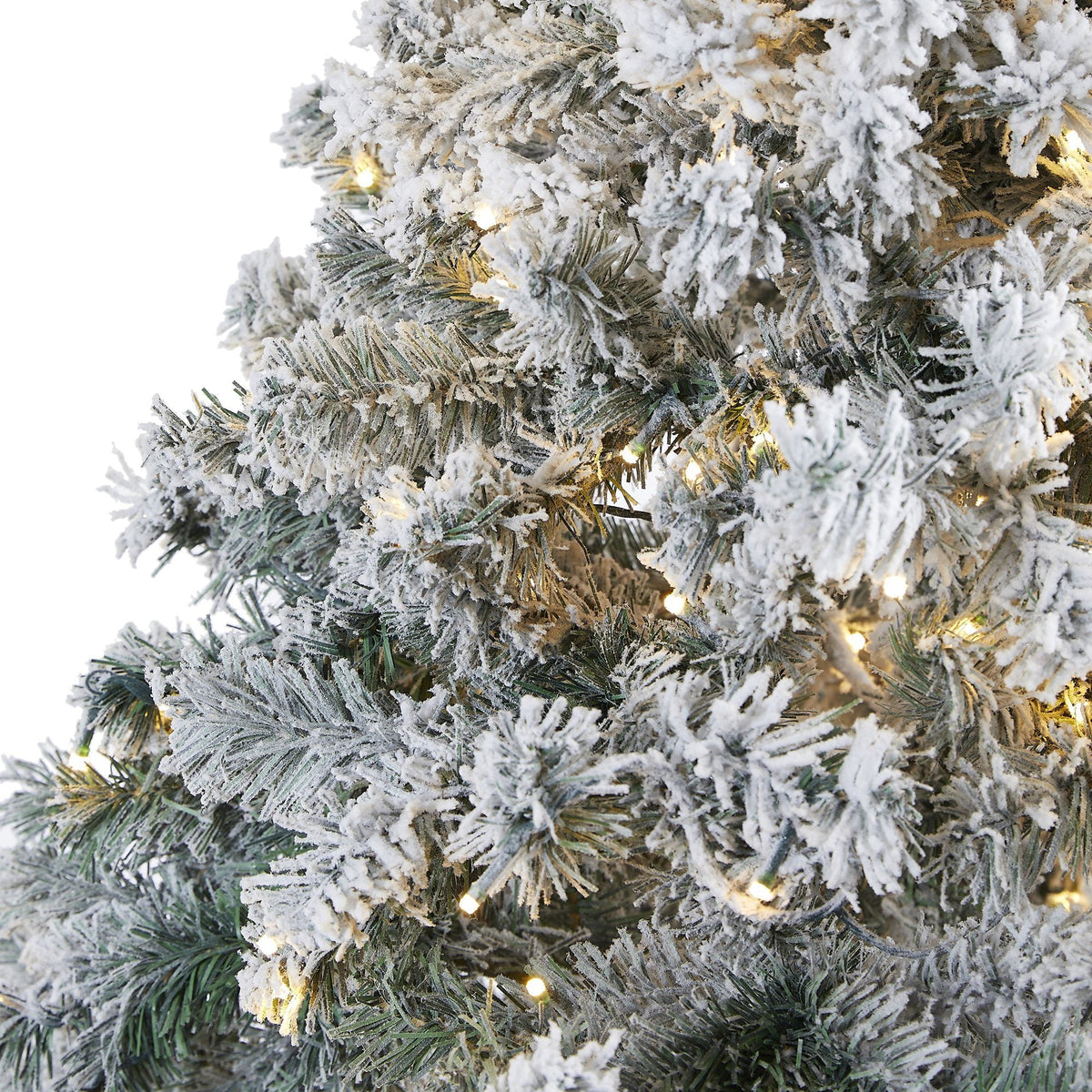 a close up of a tree