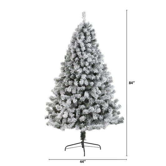 a tree with a height of 4 feet