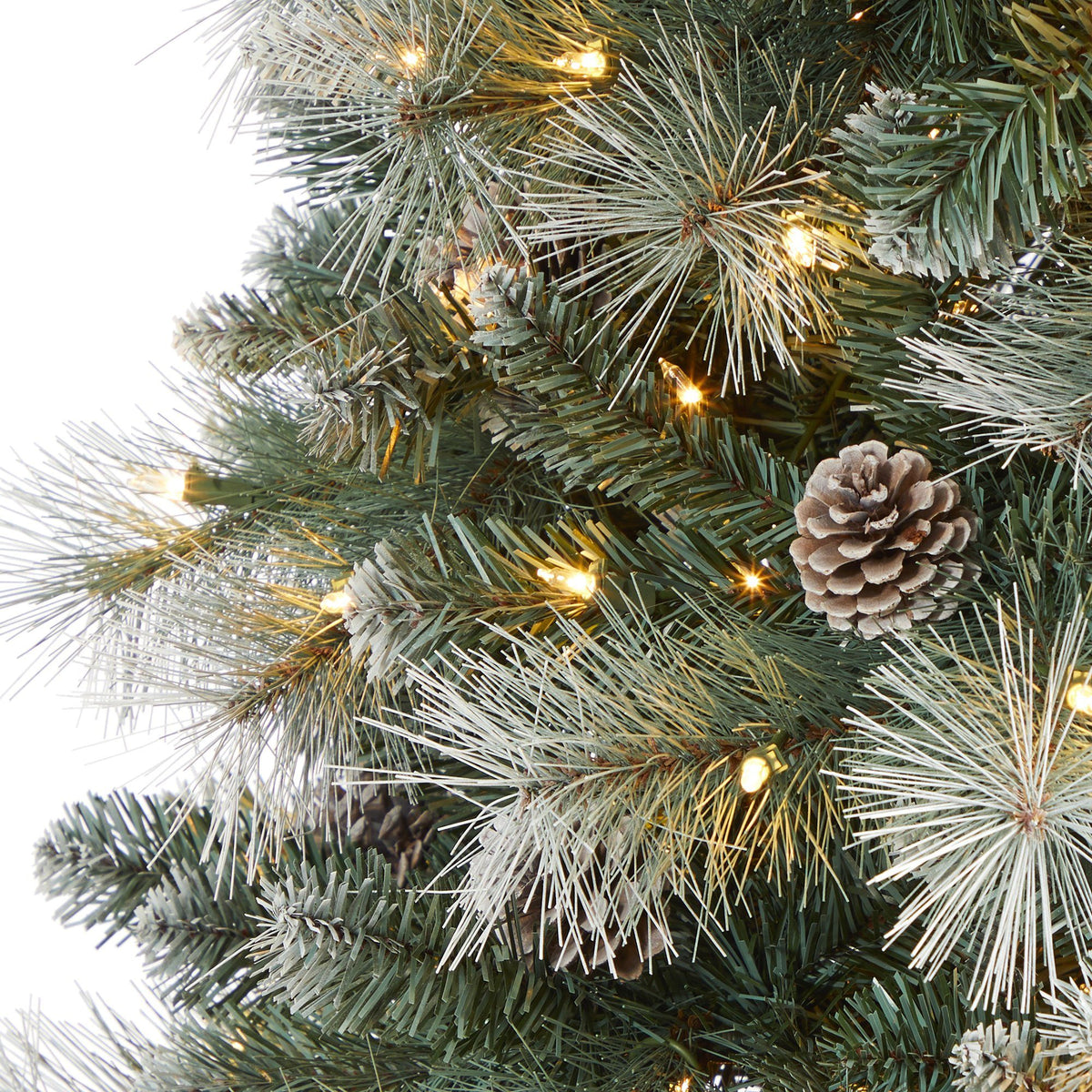 a close up of a christmas tree