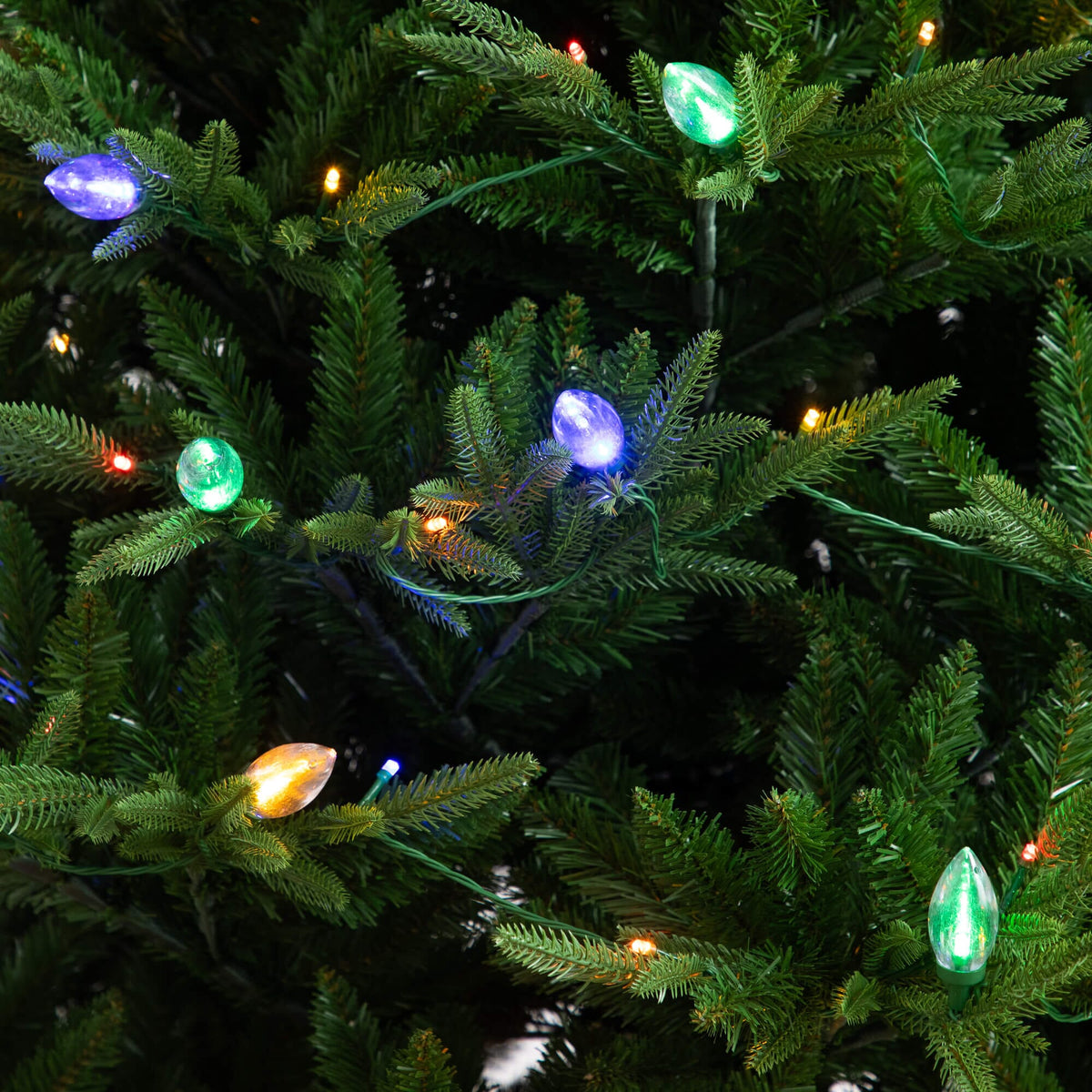 a tree with lights on it