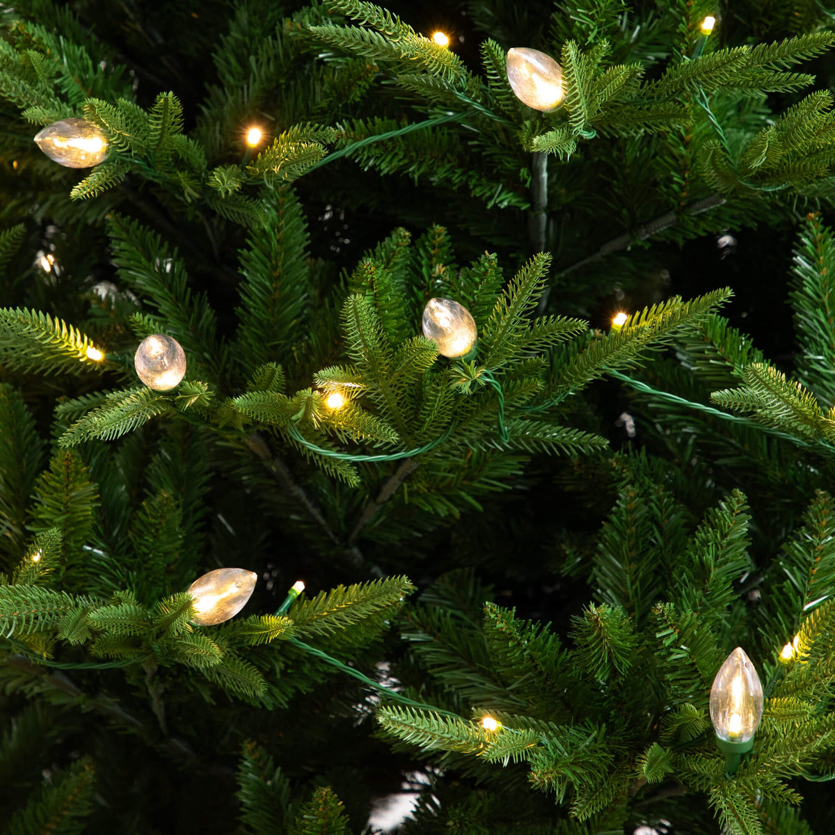 a close up of a tree